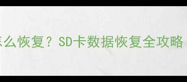 手机相册误删怎么恢复SD卡数据恢复全攻略附免费工具
