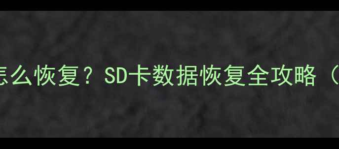 图片 手机相册误删怎么恢复？SD卡数据恢复全攻略（附免费工具）1