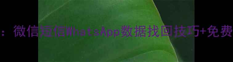 图片 手机聊天记录恢复全攻略：微信短信WhatsApp数据找回技巧+免费工具推荐（附避坑指南）