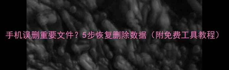 图片 手机误删重要文件？5步恢复删除数据（附免费工具教程）