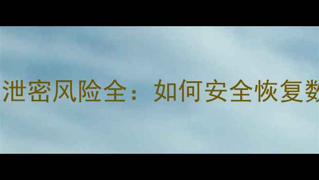 手机远程数据恢复泄密风险全如何安全恢复数据又不泄露隐私