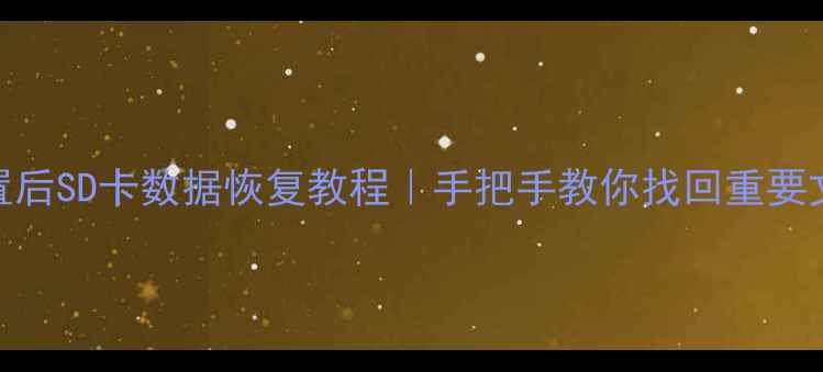 图片 手机重置后SD卡数据恢复教程｜手把手教你找回重要文件💾✨
