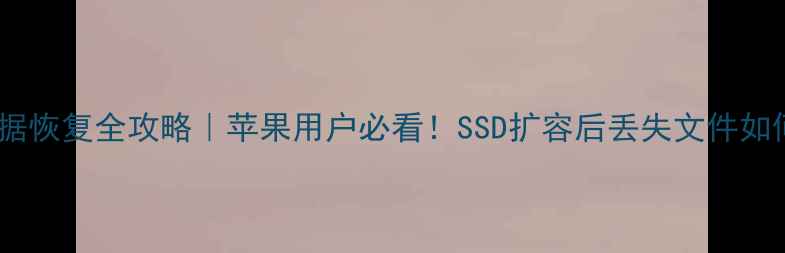 图片 扩容盘数据恢复全攻略｜苹果用户必看！SSD扩容后丢失文件如何找回？1