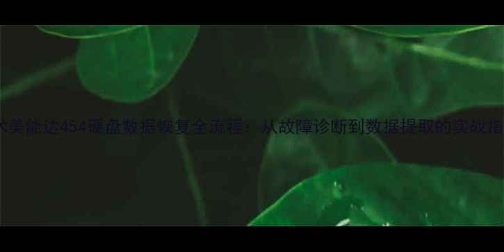 图片 技术美能达454硬盘数据恢复全流程：从故障诊断到数据提取的实战指南1