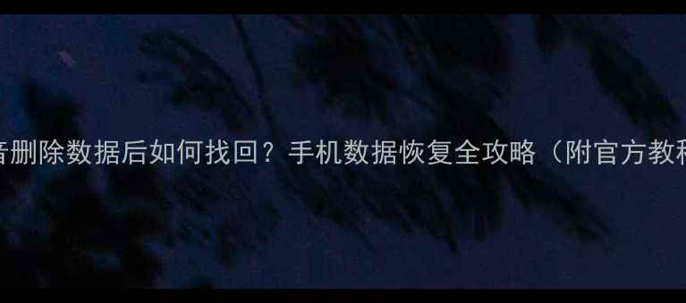 图片 抖音删除数据后如何找回？手机数据恢复全攻略（附官方教程）