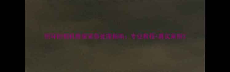 损坏的相机数据紧急处理指南专业教程真实案例