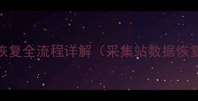 图片 推荐：数据恢复全流程详解（采集站数据恢复高效步骤）