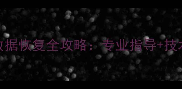 图片 摄像机录像数据恢复全攻略：专业指导+技术+案例分享2