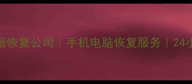 图片 敦化专业数据恢复公司｜手机电脑恢复服务｜24小时紧急救援