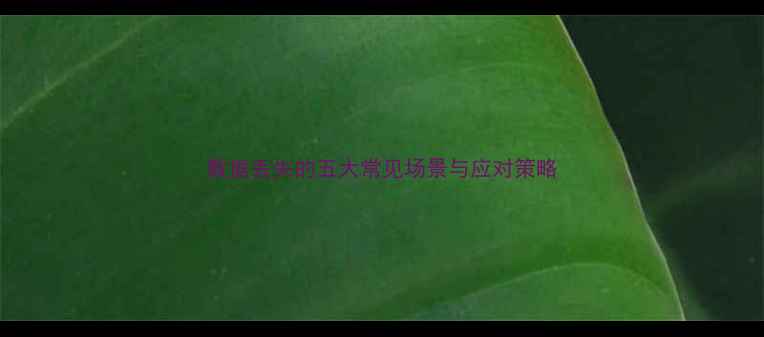 图片 数据丢失的五大常见场景与应对策略