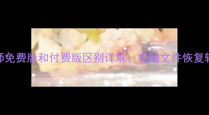 图片 数据兔恢复大师免费版和付费版区别详解：电脑文件恢复软件如何选择？