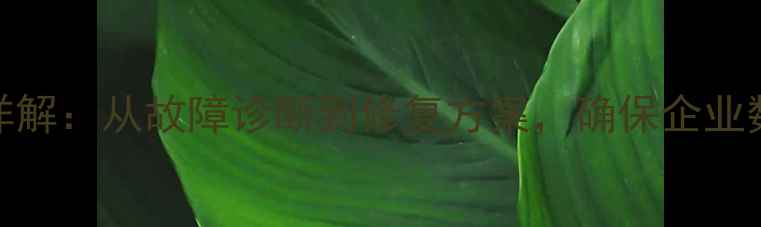 图片 数据完整性恢复全流程详解：从故障诊断到修复方案，确保企业数据安全（附实操案例）