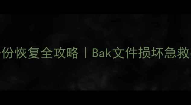 图片 数据库备份恢复全攻略｜Bak文件损坏急救指南💻🔧
