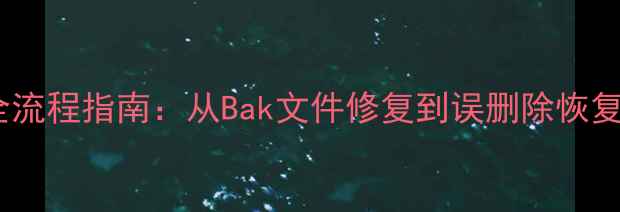 数据库备份恢复全流程指南从Bak文件修复到误删除恢复的完整解决方案