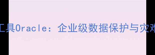 图片 数据库恢复工具Oracle：企业级数据保护与灾难恢复全指南