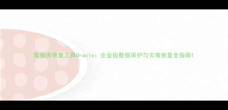 数据库恢复工具Oracle企业级数据保护与灾难恢复全指南