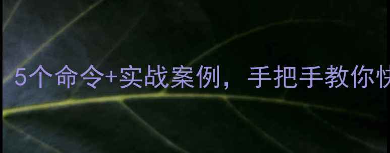 图片 数据库恢复必看！5个命令+实战案例，手把手教你快速还原数据💻✨