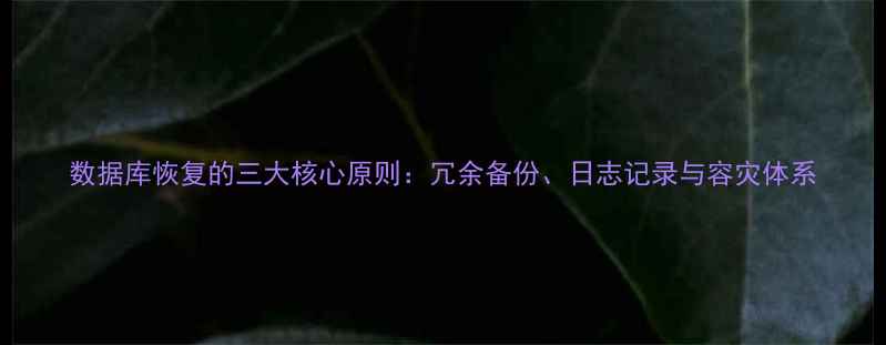 数据库恢复的三大核心原则冗余备份日志记录与容灾体系