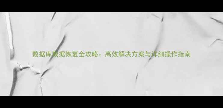 图片 数据库数据恢复全攻略：高效解决方案与详细操作指南