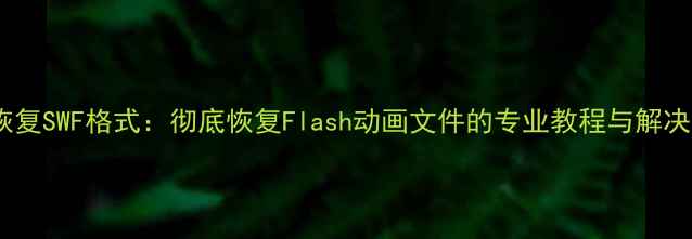 数据恢复SWF格式彻底恢复Flash动画文件的专业教程与解决方案