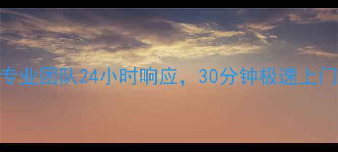 图片 数据恢复上门服务靠谱吗？专业团队24小时响应，30分钟极速上门修复电脑硬盘手机U盘数据1