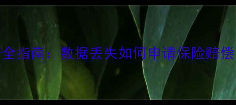 数据恢复保险理赔全指南数据丢失如何申请保险赔偿流程与注意事项