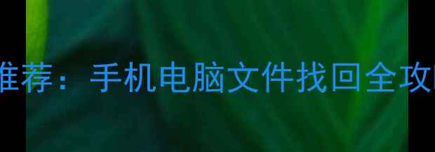 数据恢复免费工具推荐手机电脑文件找回全攻略附详细教程