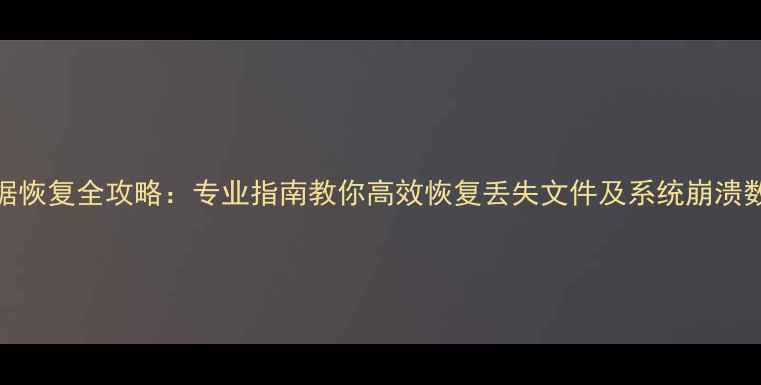 图片 数据恢复全攻略：专业指南教你高效恢复丢失文件及系统崩溃数据