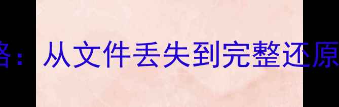 数据恢复全攻略从文件丢失到完整还原的7步解决方案