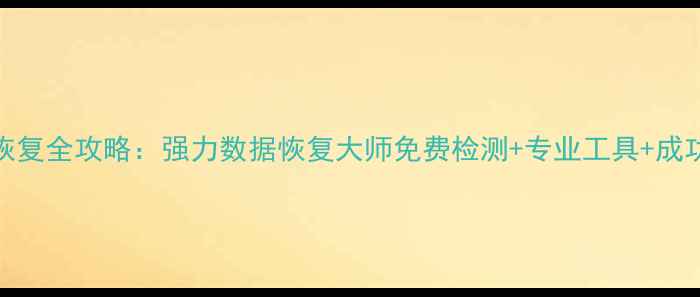 数据恢复全攻略强力数据恢复大师免费检测专业工具成功案例