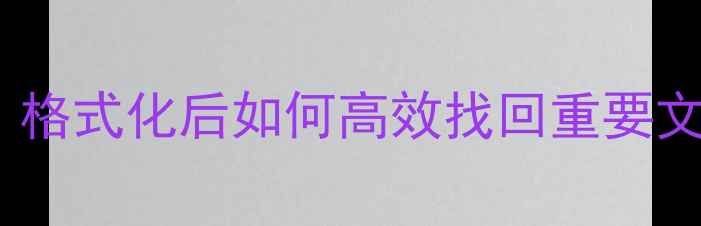 数据恢复全攻略格式化后如何高效找回重要文件最新指南