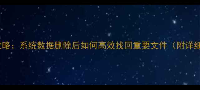 图片 数据恢复全攻略：系统数据删除后如何高效找回重要文件（附详细操作指南）1