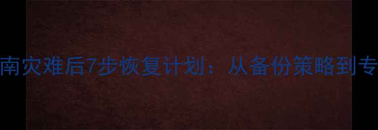 图片 数据恢复全流程指南灾难后7步恢复计划：从备份策略到专业救援的完整方案