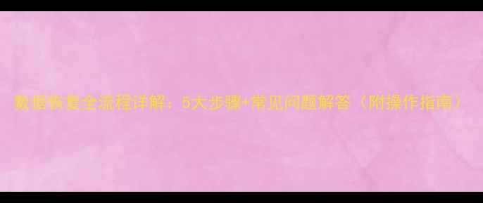 数据恢复全流程详解5大步骤常见问题解答附操作指南