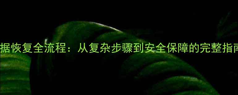 图片 数据恢复全流程：从复杂步骤到安全保障的完整指南1