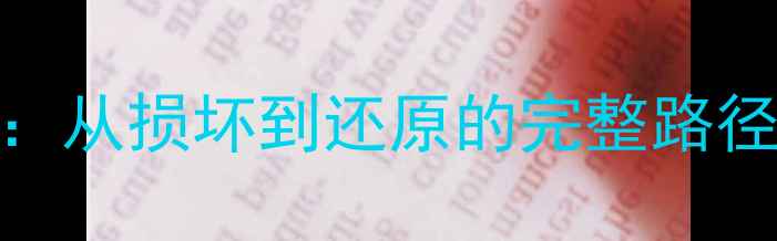 图片 数据恢复全流程：从损坏到还原的完整路径（附操作指南）