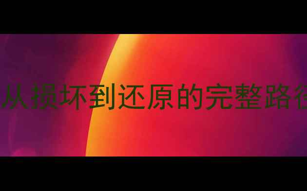 图片 数据恢复全流程：从损坏到还原的完整路径（附操作指南）1