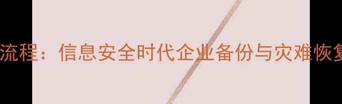 图片 数据恢复全流程：信息安全时代企业备份与灾难恢复实战指南1