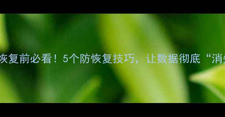 图片 数据恢复前必看！5个防恢复技巧，让数据彻底“消失”1