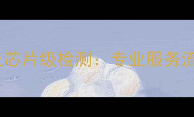 数据恢复及芯片级检测专业服务流程与技术