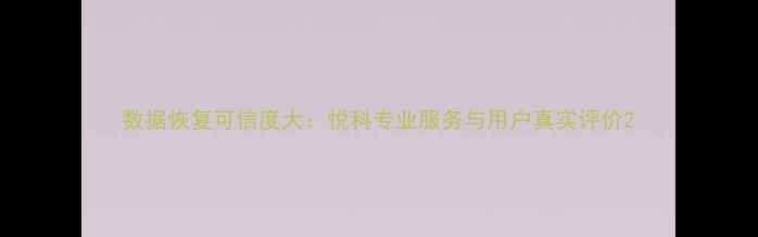 数据恢复可信度大悦科专业服务与用户真实评价