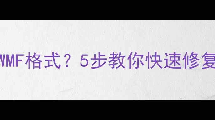 数据恢复后全为WMF格式5步教你快速修复并恢复原始文件