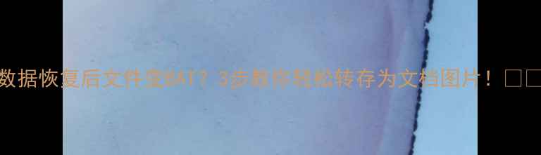 数据恢复后文件变BAT3步教你轻松转存为文档图片