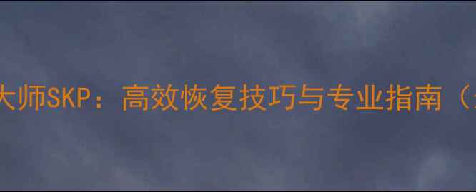 图片 数据恢复大师SKP：高效恢复技巧与专业指南（最新版）2