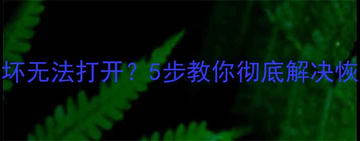图片 数据恢复失败？文件损坏无法打开？5步教你彻底解决恢复后不可用的难题！🔥