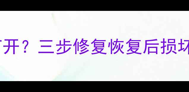 图片 数据恢复失败？文件无法打开？三步修复恢复后损坏的文档、照片、视频文件1