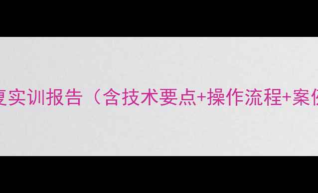 数据恢复实训报告含技术要点操作流程案例分析