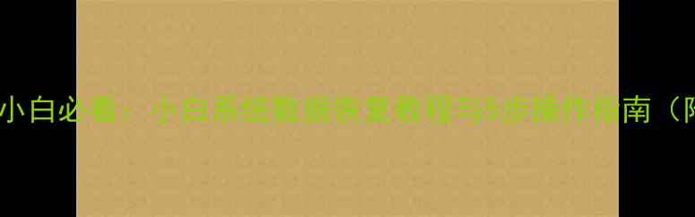 数据恢复小白必看小白系统数据恢复教程与5步操作指南附案例