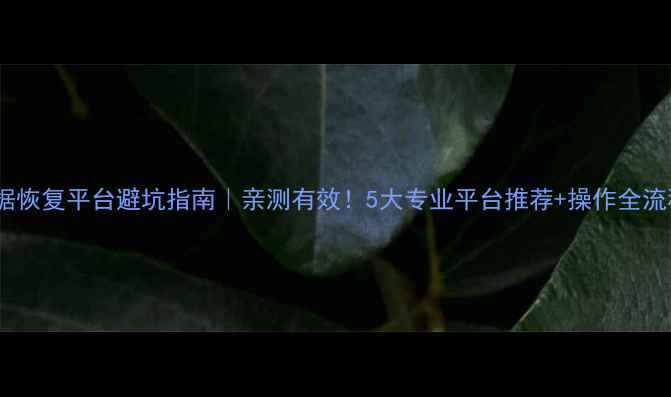 图片 数据恢复平台避坑指南｜亲测有效！5大专业平台推荐+操作全流程2