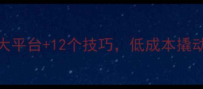 数据恢复广告投放必看5大平台12个技巧低成本撬动精准获客附投放案例